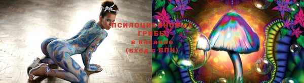 jwh Белокуриха
