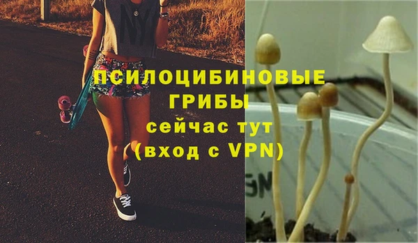 винт Беломорск