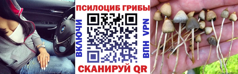 Галлюциногенные грибы MAGIC MUSHROOMS  где купить наркоту  Олёкминск 